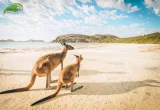 TOUR ÚC: SYDNEY 5 NGÀY 4 ĐÊM