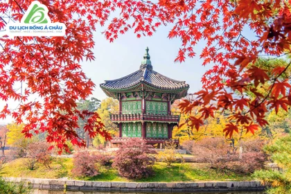 TOUR HÀN QUỐC: MÙA THU SEOUL - NAMI - EVERLAND 5 NGÀY 4 ĐÊM