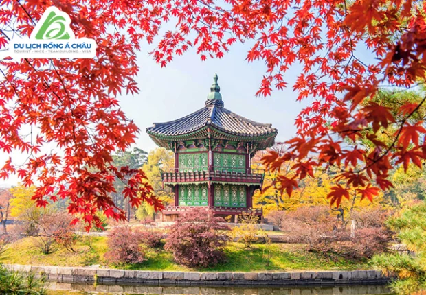 TOUR HÀN QUỐC: MÙA THU SEOUL - NAMI - EVERLAND 5 NGÀY 4 ĐÊM