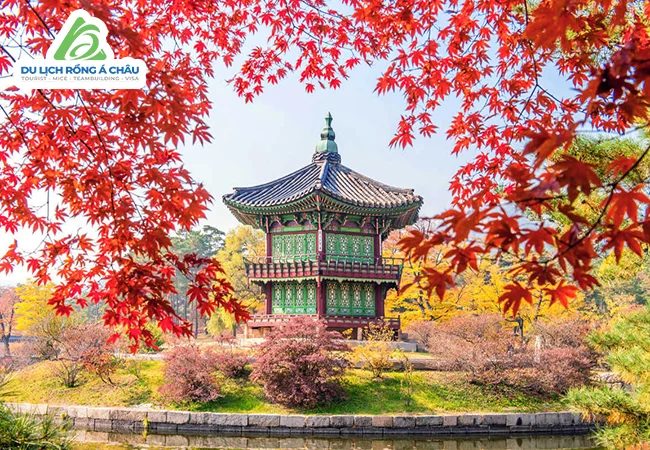 TOUR HÀN QUỐC: MÙA THU SEOUL - NAMI - EVERLAND 5 NGÀY 4 ĐÊM
