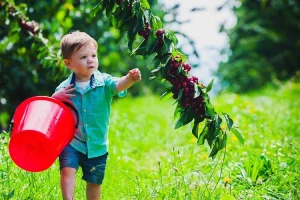 Những điều cần biết khi du lịch Úc