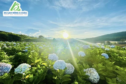 TOUR THÁC BOBLA - BẢO LỘC - ĐÀ LẠT 3 NGÀY 2 ĐÊM