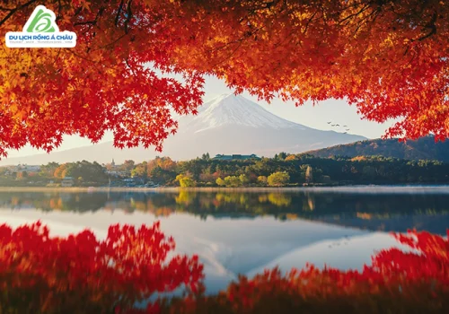TOUR NHẬT BẢN: CUNG ĐƯỜNG VÀNG NARITA - TOKYO - OSAKA - KYOTO - KANSAI 6 NGÀY 5 ĐÊM