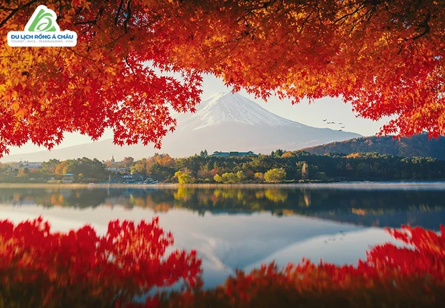 TOUR NHẬT BẢN: CUNG ĐƯỜNG VÀNG NARITA - TOKYO - OSAKA - KYOTO - KANSAI 6 NGÀY 5 ĐÊM