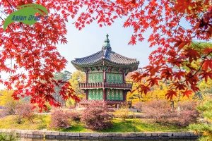 Những trải nghiệm không thể bỏ lỡ khi đến Hàn Quốc mùa thu