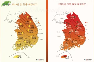 Lịch dự báo mùa thu lá đỏ ở Hàn Quốc 2019