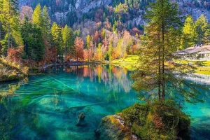 Blausee – Viên ngọc xanh huyền thoại giữa lòng Thụy Sĩ