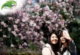 TOUR NHẬT BẢN: NARITA - TOKYO - KYOTO - OSAKA - KANSAI 6 NGÀY 5 ĐÊM
