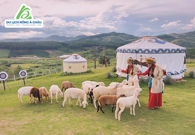 TOUR MÔNG CỔ: ULAANBAATAR – TERELJ NATIONAL PARK 5 NGÀY 4 ĐÊM