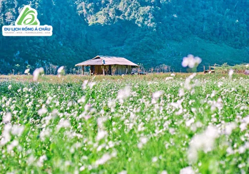 TP.HCM - HÀ NỘI - SAPA - ĐIỆN BIÊN - MỘC CHÂU - HÒA BÌNH 5 NGÀY 4 ĐÊM