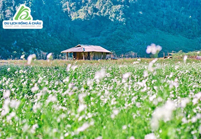 TP.HCM - HÀ NỘI - SAPA - ĐIỆN BIÊN - MỘC CHÂU - HÒA BÌNH 5 NGÀY 4 ĐÊM