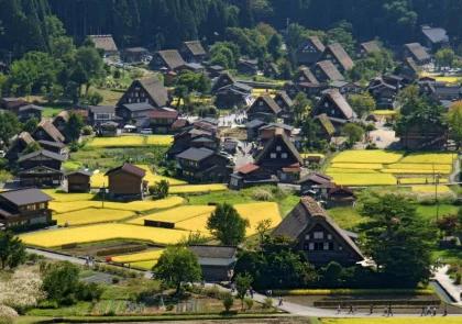 Shirakawa-go: Làng Cổ Tích Giữa Núi Rừng Nhật Bản