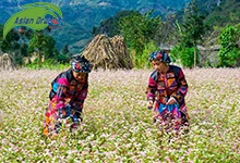 Tây Bắc mùa thu đẹp như tranh cổ tích