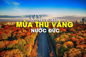 Đắm say mùa thu vàng nước Đức