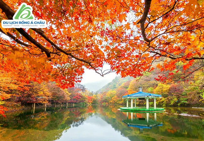 TOUR HÀN QUỐC: SEOUL - NAMI - EVERLAND/LOTTE WORLD 5 NGÀY 4 ĐÊM