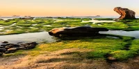 DU LỊCH NINH CHỮ - VĨNH HY