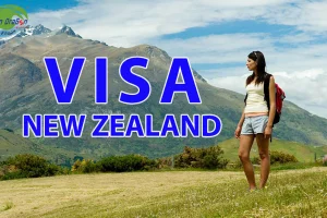 Hồ sơ xin visa New Zealand