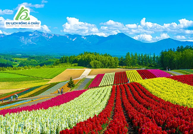 TOUR NHẬT BẢN: THIÊN ĐƯỜNG PHƯƠNG BẮC HOKKAIDO 7 NGÀY 6 ĐÊM