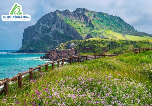 TOUR HÀN QUỐC: SEOUL - JEJU - BUSAN 7 NGÀY 6 ĐÊM
