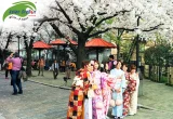 TOUR NHẬT BẢN: NARITA - TOKYO - KYOTO - OSAKA - KANSAI 6 NGÀY 5 ĐÊM