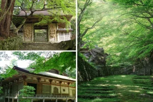 TÌM VỀ BÌNH YÊN TẠI CHÙA HYAKUSAI-JI