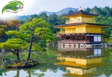 TOUR NHẬT BẢN: CUNG ĐƯỜNG VÀNG NARITA - TOKYO - OSAKA - KYOTO - KANSAI 6 NGÀY 5 ĐÊM