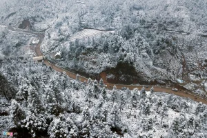Cùng nhau "săn tuyết" ở Sapa