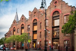 Những hoạt động nổi bật tại Sydney khi du lịch Úc