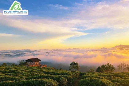 TOUR ĐÀ LẠT - THIÊN ĐƯỜNG SĂN MÂY - ĐỒI CHÈ - CỒNG CHIÊNG - KDL DAPA HLL 3 NGÀY 3 ĐÊM