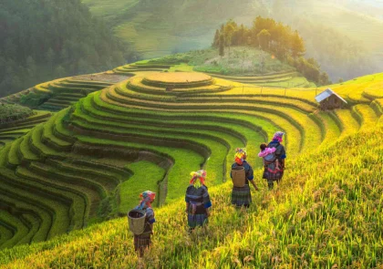 TOP NHỮNG ĐỊA ĐIỂM DU LỊCH Ở VIỆT NAM KHÔNG NÊN BỎ LỠ VÀO HÈ NÀY