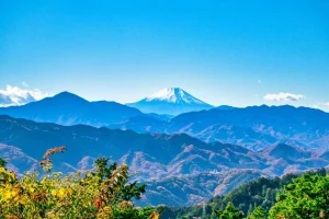 08 CHUYẾN ĐI QUANH TOKYO BẰNG TÀU