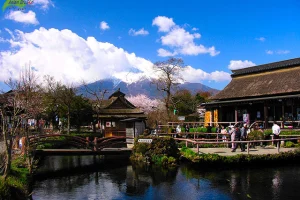 Đến Nhật Bạn đừng quên ghé thăm làng cổ Oshino Hakkai