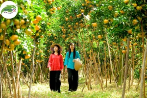 Sông Cửu Long: Trường Giang Vạn Dặm